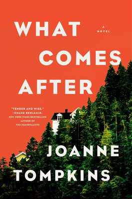 Cover of the book What Comes After by Joanne Tompkins.